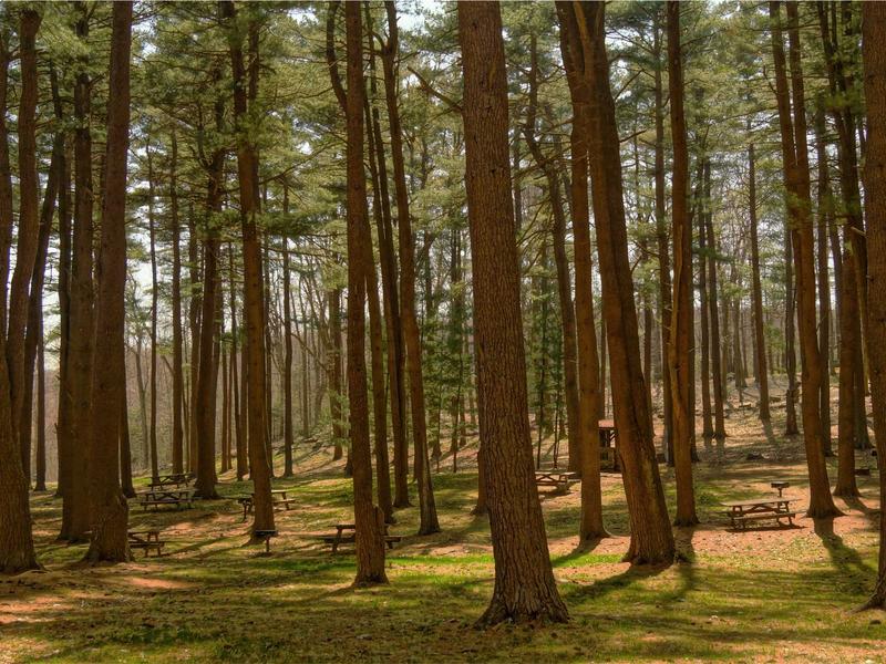 sudoku time killer screenshot 2